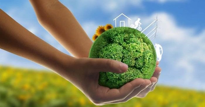 Người phụ nữ phân loại rác vào các thùng tái chế, minh họa hành động thiết thực bảo vệ môi trường