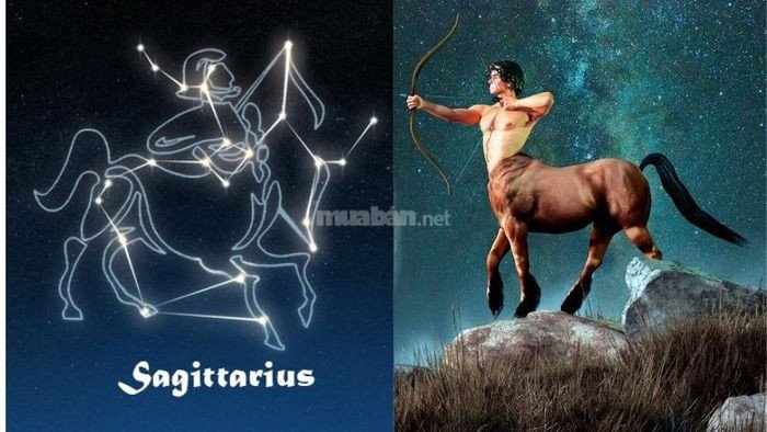 Nhân Mã Sagittarius yêu tự do khám phá