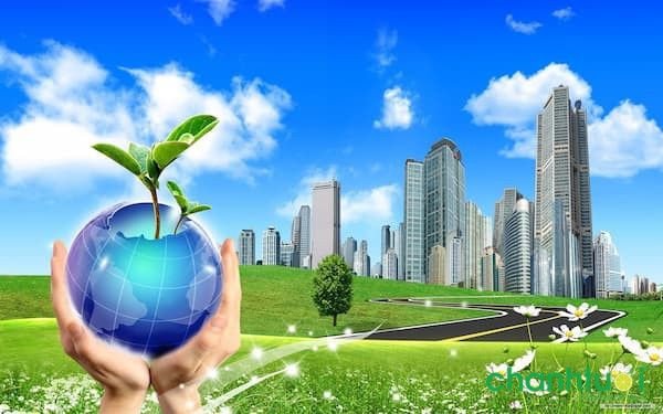 Nhóm người tình nguyện thu gom rác, thể hiện tinh thần chung tay bảo vệ môi trường và làm sạch cộng đồng