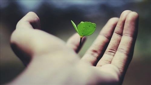 Nụ cười ấm áp của người đàn ông, đại diện cho lòng tốt và sự nhân ái, phù hợp với ý nghĩa tên Tiếng Anh thánh thiện cho nam giới.