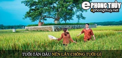 Nữ tuổi Tân Dậu 1981 chọn bạn đời phù hợp cho hôn nhân