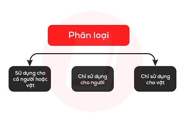 Phân loại đại từ bất định