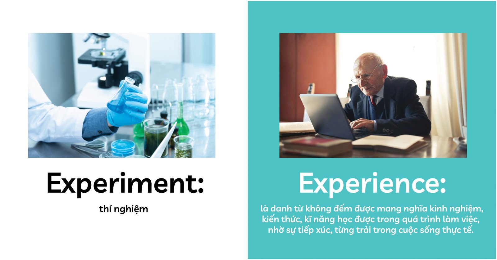 Phân tích Experiment và Experience trong tiếng Anh