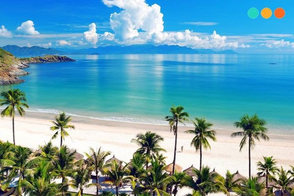 Rạn san hô đầy màu sắc dưới đáy biển Nha Trang