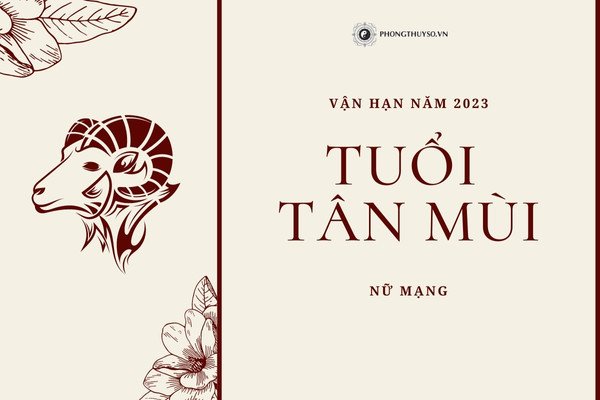 Sao La Hầu chiếu mệnh nữ Tân Mùi 1991 năm 2023