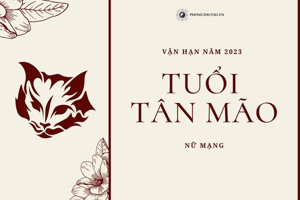Sao Thái Âm chiếu mệnh nữ mạng Tân Mão 2011
