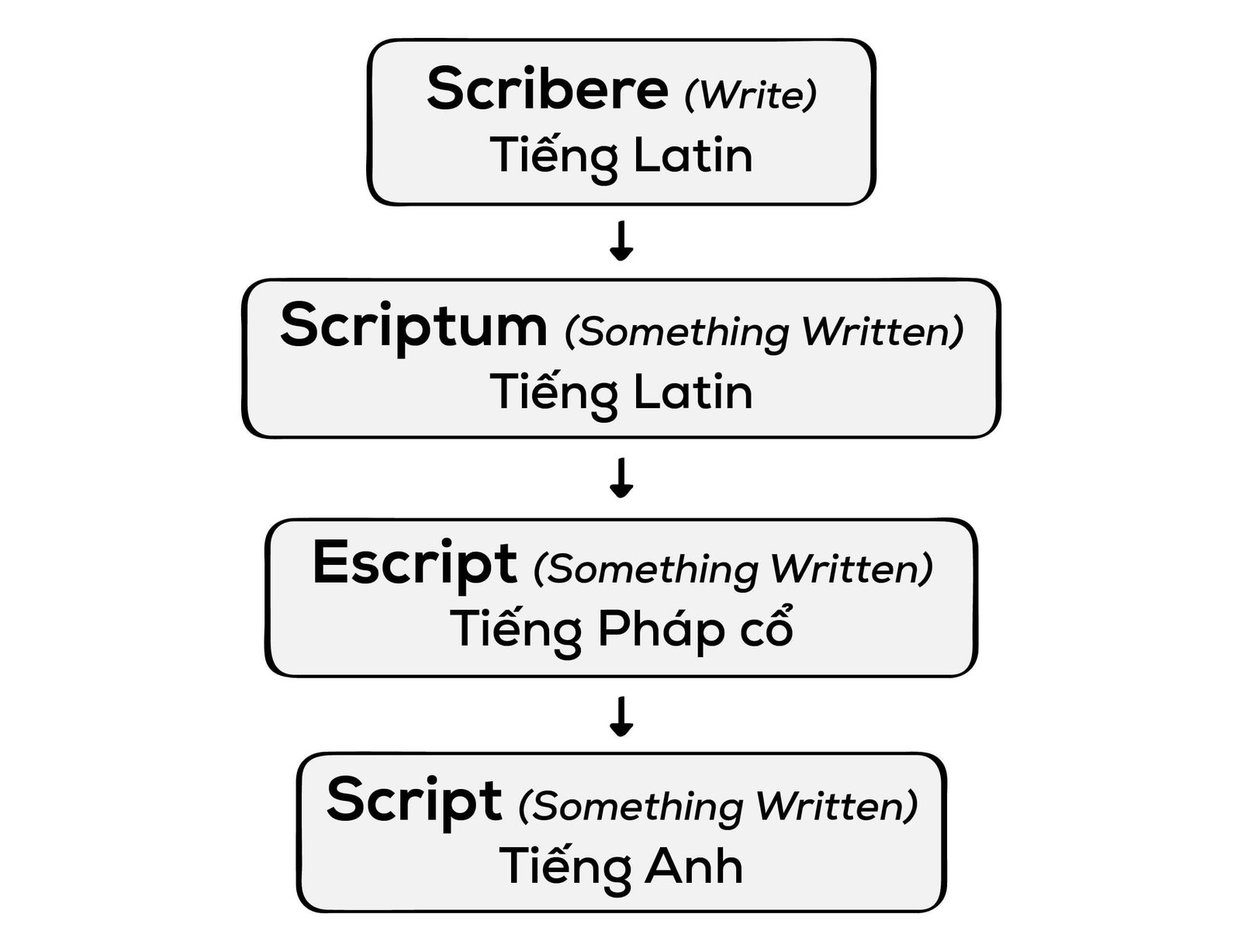 Sơ đồ biến đổi của gốc từ script