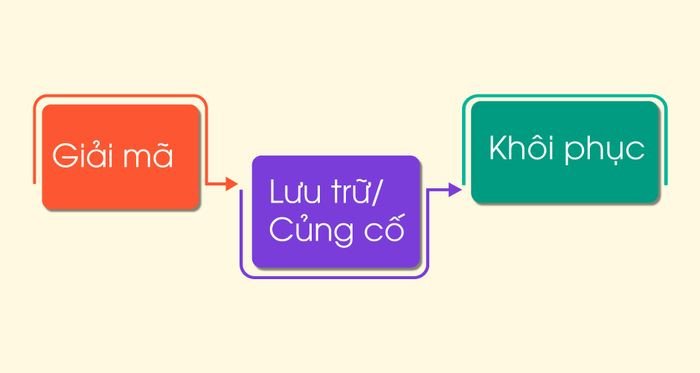 Sơ đồ hoạt động trí nhớ và việc học từ đa nghĩa