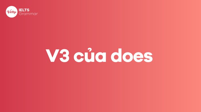 Sơ đồ minh họa mối quan hệ giữa 'do', 'does', 'did' và 'done'