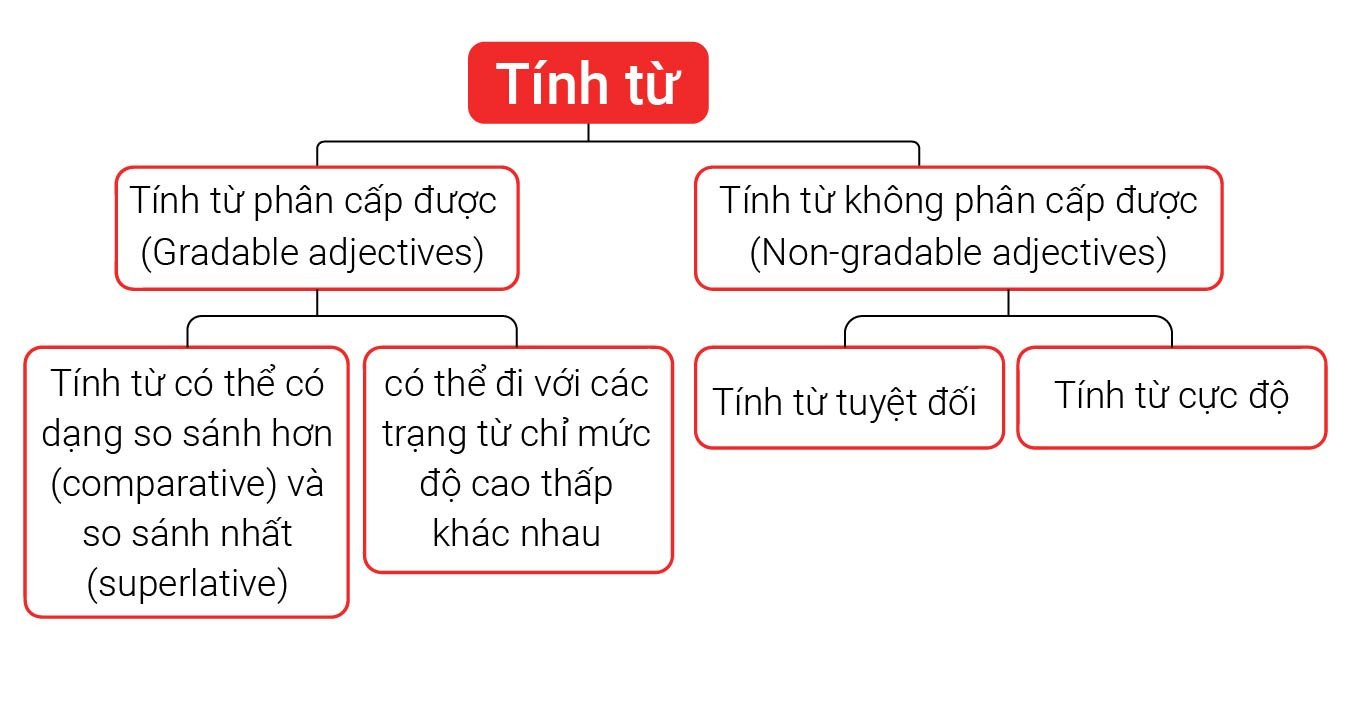 Sơ đồ minh họa tính từ phân cấp và tính từ không phân cấp trong tiếng Anh