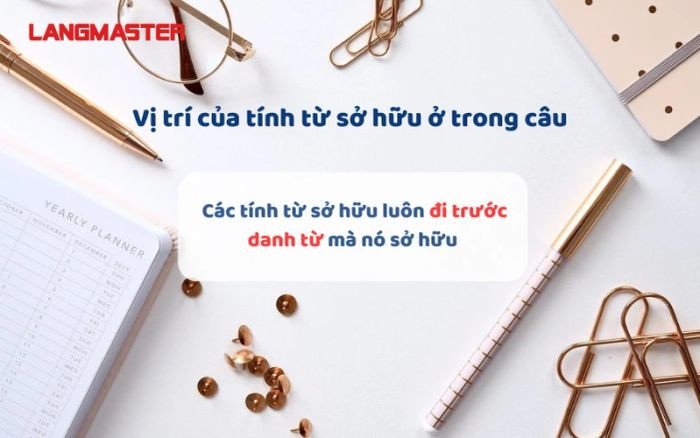 Sơ đồ minh họa vị trí của tính từ sở hữu đứng trước danh từ trong câu tiếng Anh, giúp làm rõ nghĩa sở hữu.