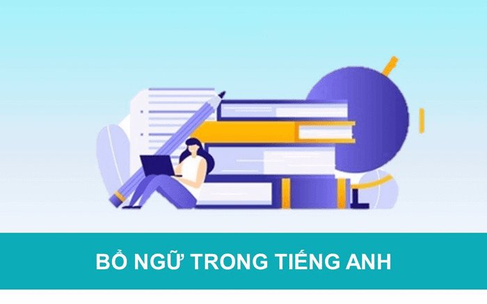 Sơ đồ phân loại các dạng bổ ngữ phổ biến trong cấu trúc câu tiếng Anh