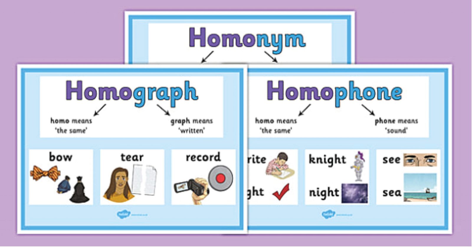 Sơ đồ phân loại các dạng từ đồng âm Homonym phổ biến