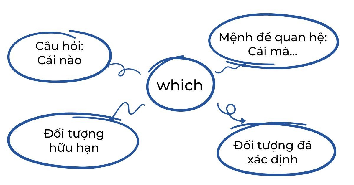 Sơ đồ so sánh điểm khác biệt giữa Which và That trong mệnh đề quan hệ