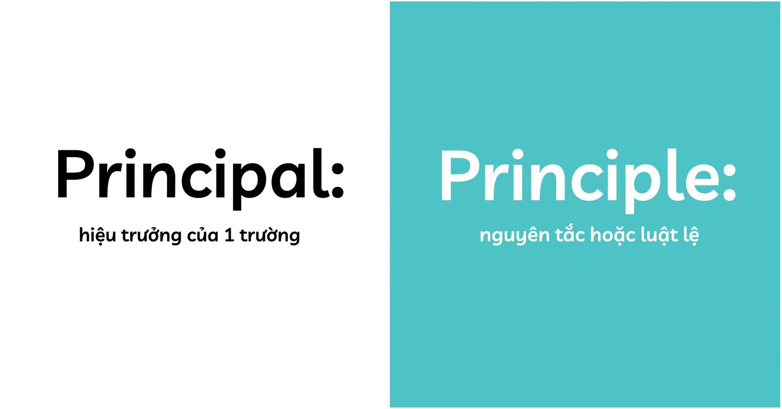 Tìm hiểu sự nhầm lẫn giữa Principal và Principle