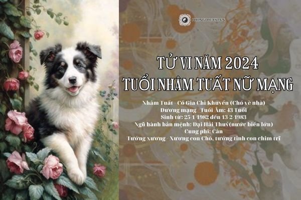 Tổng quan tử vi tuổi Nhâm Tuất năm 2024 nữ mạng chi tiết