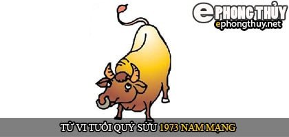 Tổng quan vận mệnh nam Quý Sửu 1973