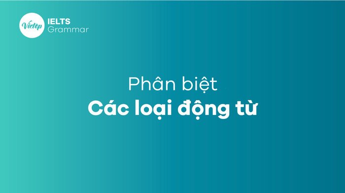 Tổng quan về các loại động từ khác nhau trong tiếng Anh