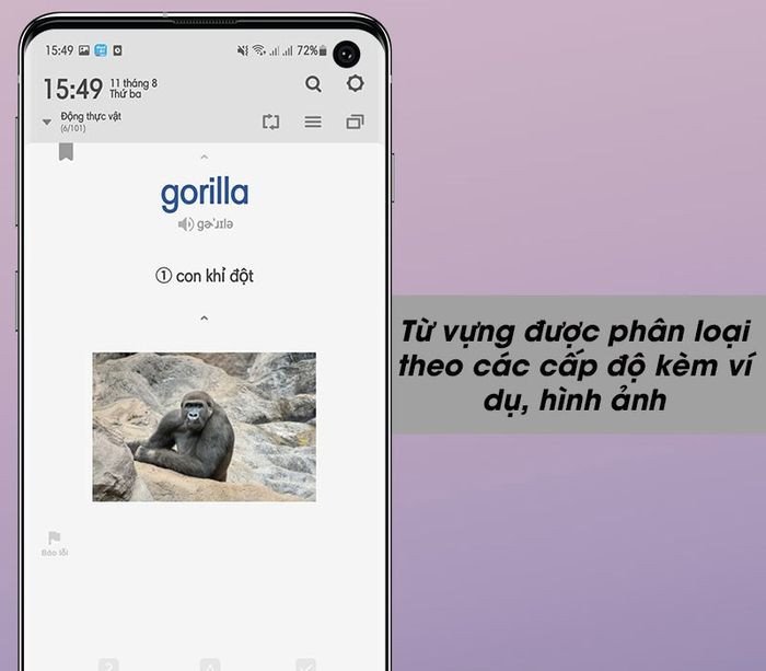 Từ vựng tiếng Anh chi tiết trên WordBit với phiên âm và ví dụ minh họa
