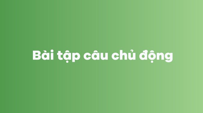 Ví dụ bài tập thực hành củng cố kiến thức về câu bị động tiếng Anh