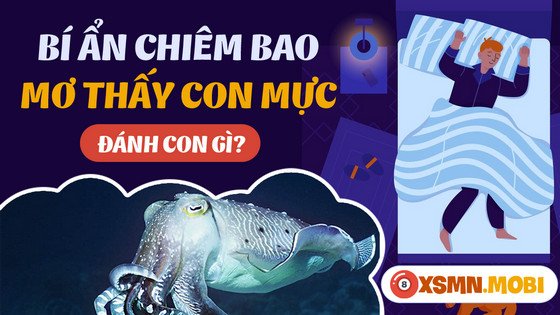 Bảng con số may mắn từ giấc mơ thấy mua mực, gợi ý đánh đề hiệu quả