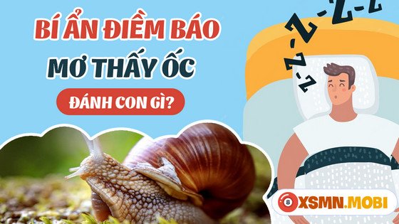 Bảng số đề liên quan đến giấc mơ thấy bắt ốc