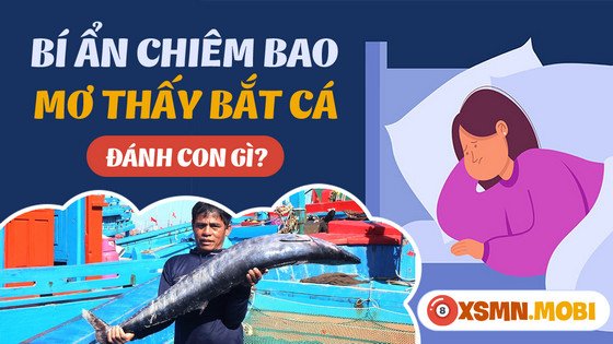Bảng tổng hợp các con số may mắn liên quan đến giấc mơ tát ao bắt cá và các loại cá khác.