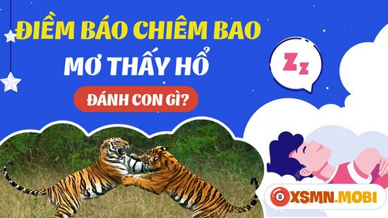 Bảng tổng hợp con số may mắn khi mơ thấy con cọp đánh số gì