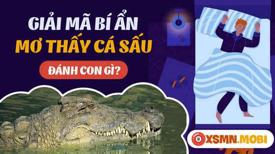 Các con số đề may mắn khi mơ thấy cá sấu đánh đề con gì