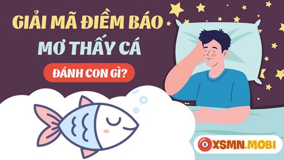 Các con số may mắn liên quan đến giấc mơ thấy cá, bao gồm nằm mơ thấy nhiều cá đánh số may