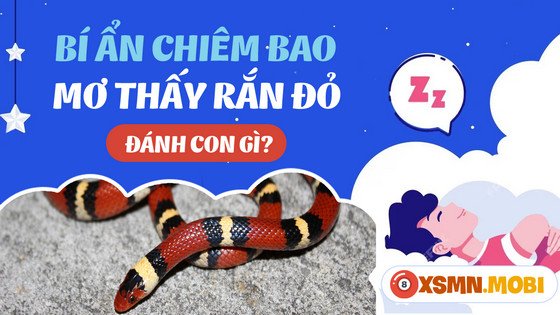 Các con số may mắn liên quan đến giấc mơ thấy rắn đỏ, giải đáp nằm mơ thấy rắn màu đỏ đánh con gì