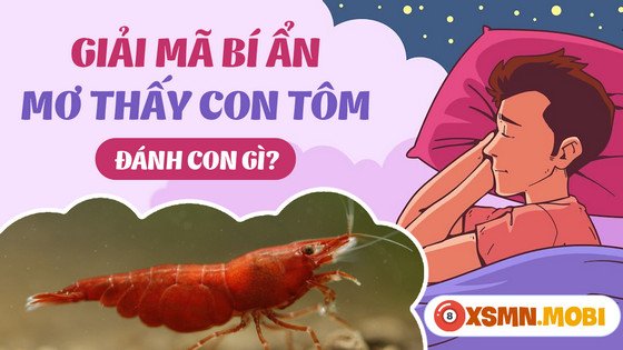 Các con số may mắn liên quan đến giấc mơ thấy tôm cá