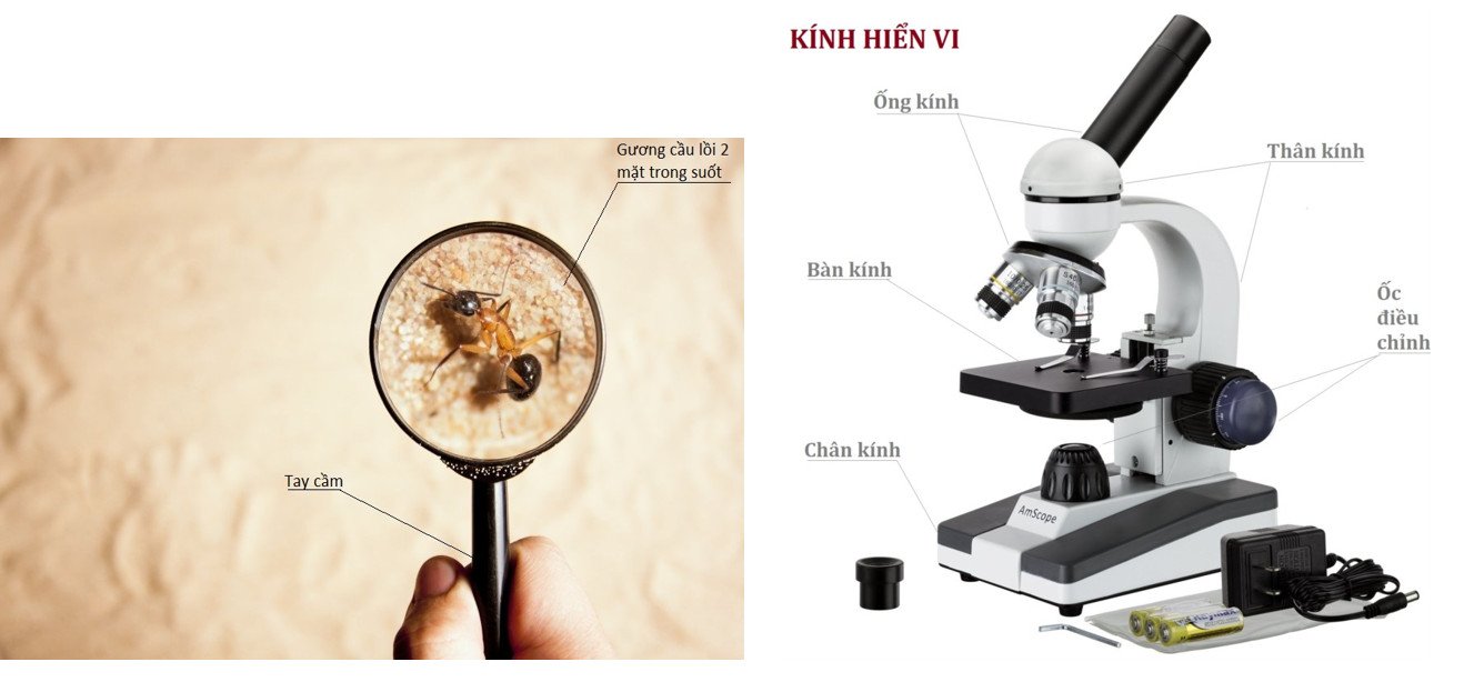 Các dụng cụ cơ bản hỗ trợ học tập và nghiên cứu môn sinh học trong phòng thí nghiệm.