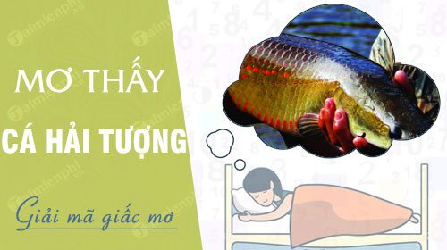 Cận cảnh cá hải tượng khổng lồ đang bơi trong hồ nước trong xanh