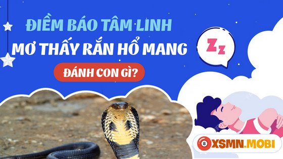 Chiêm bao thấy rắn hổ mang đánh con số bao nhiêu trúng lớn?