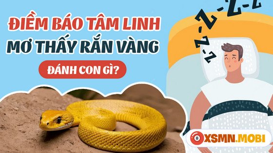 Con số may mắn khi mơ thấy rắn vàng cắn