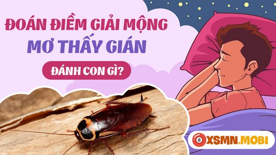 con số may mắn khi nằm mơ thấy gián
