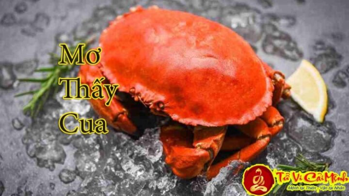 Cua biển với lớp vỏ cứng tượng trưng cho sự phòng thủ trong giấc mơ thấy cua