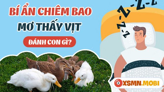 Đàn vịt đang kiếm ăn trên đồng lúa, thể hiện sự cần mẫn và may mắn về tài lộc khi mơ thấy vịt