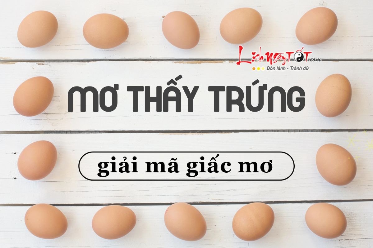 điềm báo khi nằm mơ thấy gà mái ấp trứng gà