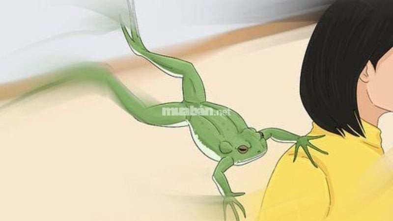 Ếch nhảy vào người trong mơ cảnh báo kẻ xấu lợi dụng