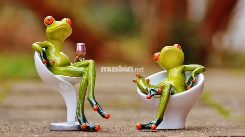 Ếch nói chuyện hoặc hát trong mơ mang đến tín hiệu bình an và cơ hội