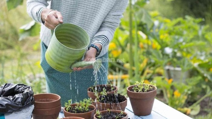 Gia đình đang hạnh phúc bên nhau, phản ánh giấc mơ người thân trúng số mang lại điềm lành cho mối quan hệ.
