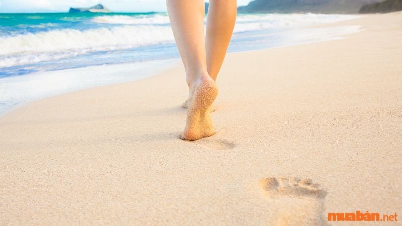 Giấc mơ đi dạo trên biển với sóng nhỏ