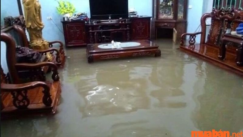 Giấc mơ nhà bị dột và tràn nước