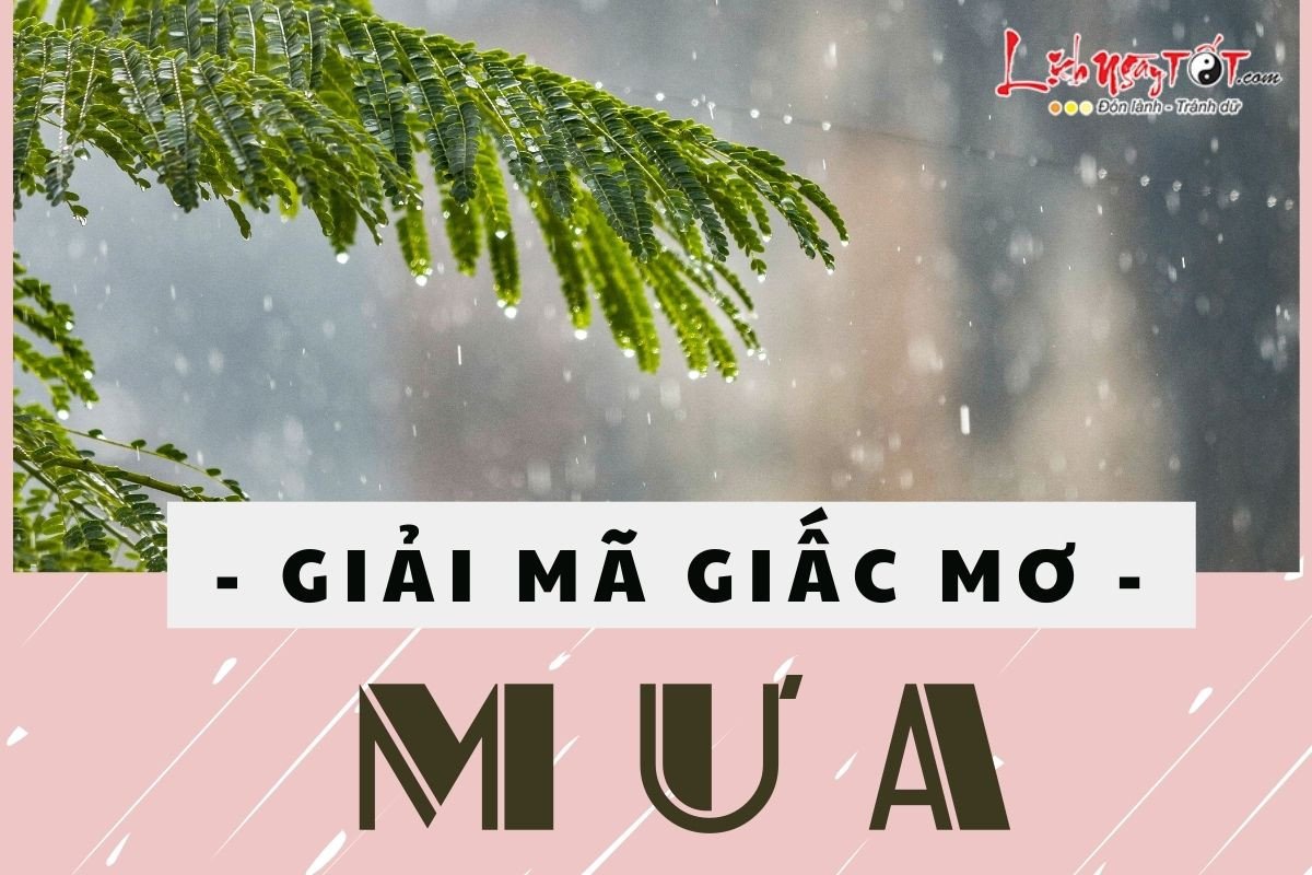 Giải mã điềm báo mơ thấy mưa to