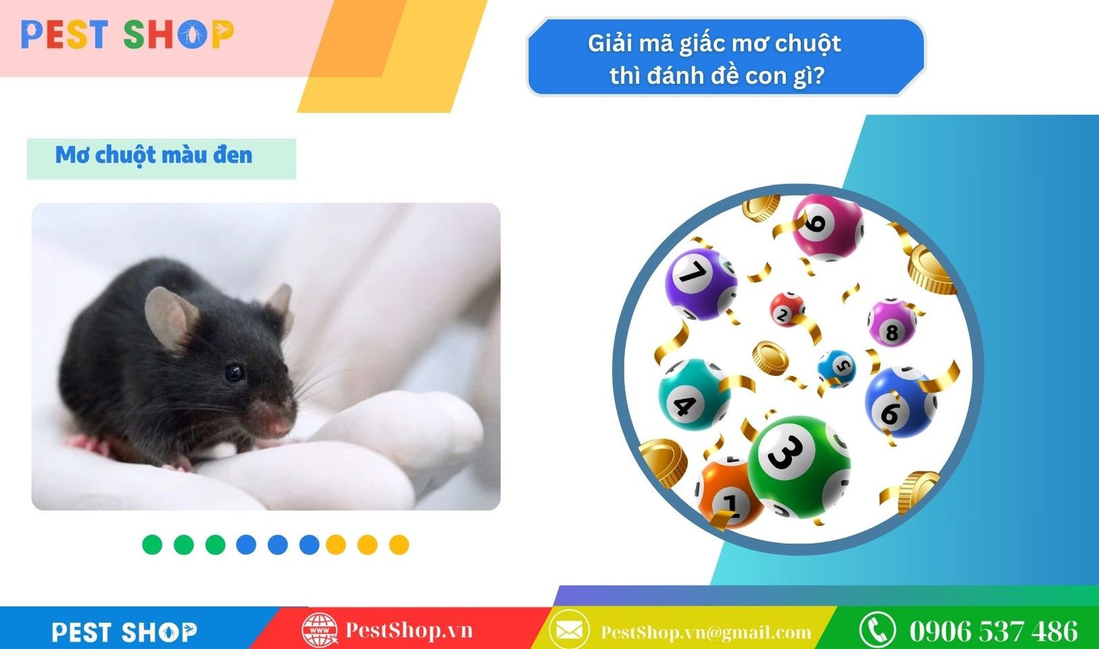 Giải mã giấc mơ thấy chuột màu đen và điềm báo may rủi liên quan con số đặc biệt.