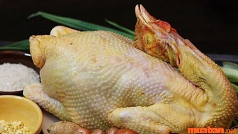 Giải mã giấc mơ thấy mổ gà