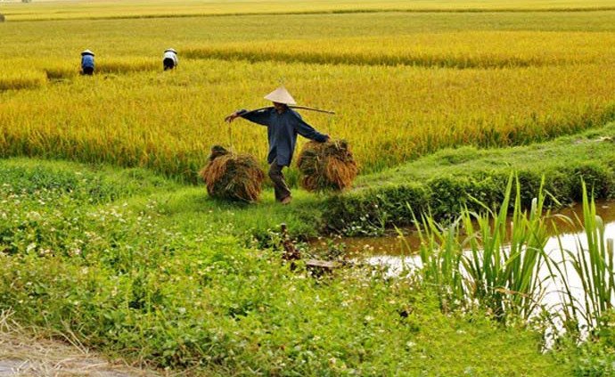 Giải mã giấc mơ thấy người thân hầu đồng