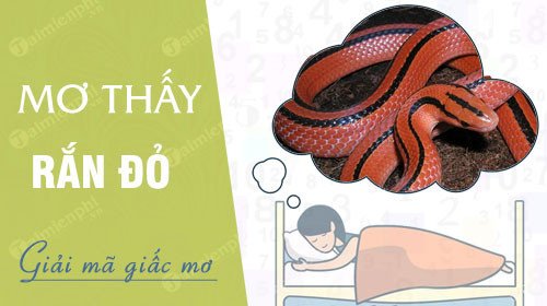 Giải mã giấc mơ thấy rắn đỏ và con số may mắn